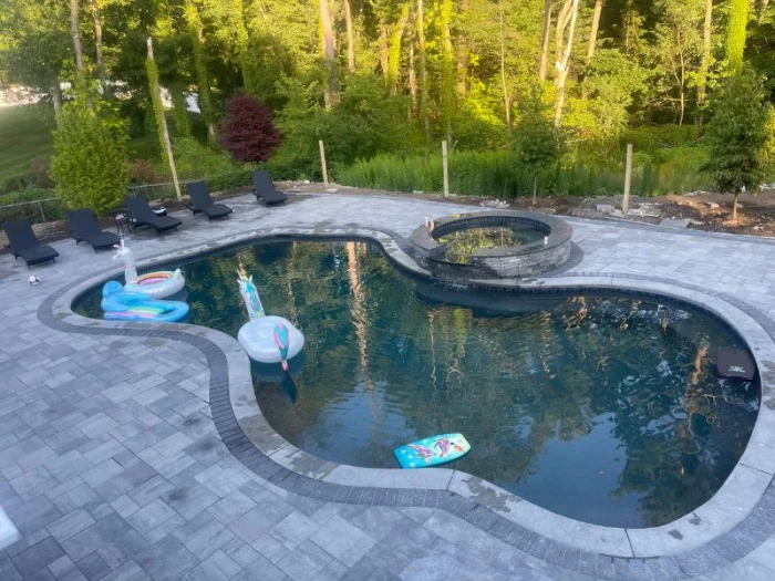 Swimming pool showcase project 5 by Aqua Perfect Pools